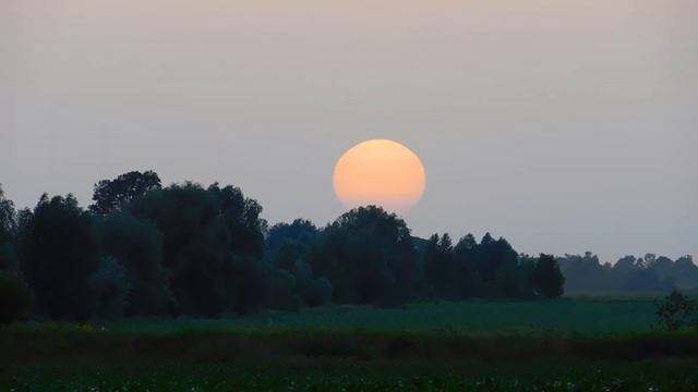 Закат смотреть онлайн