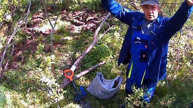 Копаем металл с xp orx и simplex 18 копметалла2021коп2021