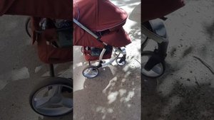 Прогулочная коляска CARRELLO Vista - видеоотзыв, обзор