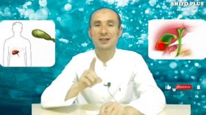 УТ ДИМЛАНИШИ ва ЗАРДА БУЛИШИГА ТАВСИЯ БИР КУНДА ФОЙДАСИНИ БИЛАСИЗ O'T DIMLANISHI VA ZARDA BO'LISHI