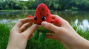 Вязаная игрушка арбузик ?