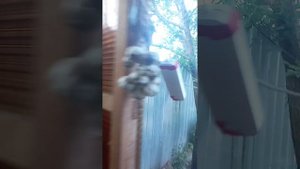 Чуровичи Брянская область Климовский район 4 Августа