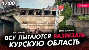 ВСУ пытаются разрезать Курскую область [Первушин и Сочина. СТРИМ]