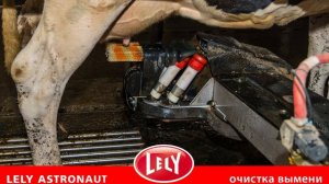 LELY ASTRONAUT A4, очистка вымени