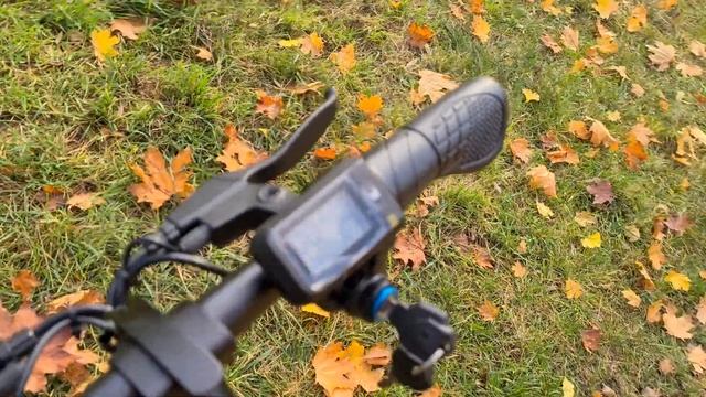 Niubility B 14 E Bike Pedelec Klapprad