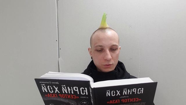 книга Дениса Ступникова Юрий Хой и группа "СЕКТОР ГАЗА" глава девятая смотреть онлайн