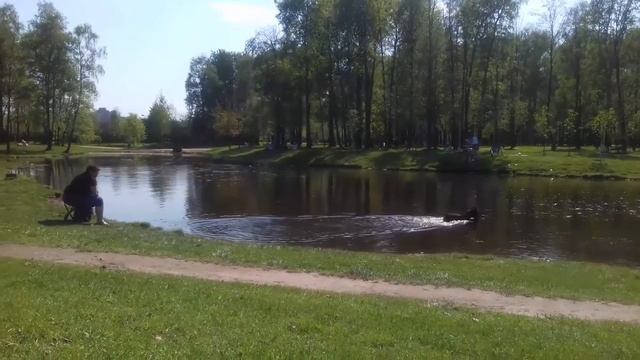 ГДЕ ЗАГОРАЮТ В ПЕТЕРБУРГЕ? В Парке у МЕТРО!/КОГДА В ПИТЕРЕ ЖАРКО... смотреть онлайн