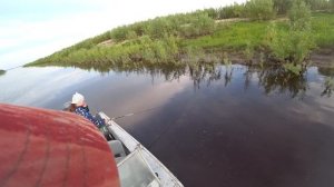 РЫБАЛКА НА СЕВЕРЕ. ОГРОМНЫЕ ОКУНЯ НА СПИННИНГ.