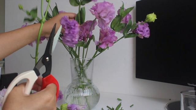 Bunch Flowers|Purple Eustoma|Baby Million Star|Jahhet Fine Meat|Malaysia|Vlog|Ep 3