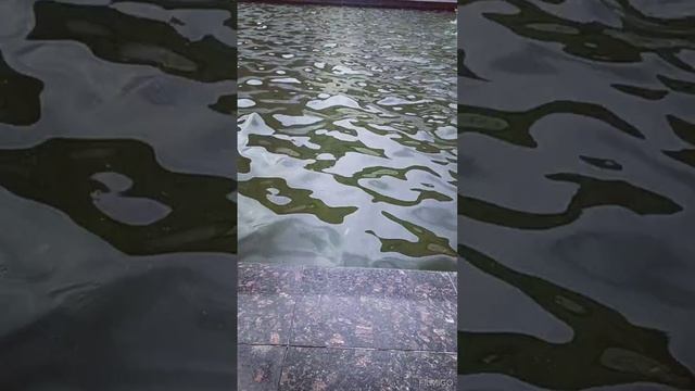 фонтаны останкинской теле башни смотреть онлайн