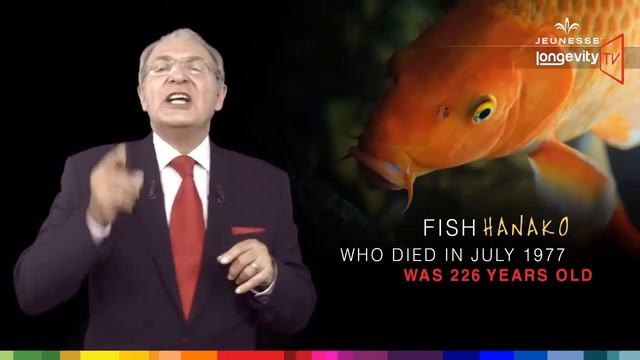 4 – Перспектива долголетия смотреть онлайн