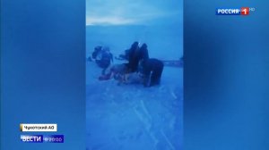 Оленевод потерялся в тундре и остался жив