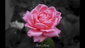 Абрахам Хикс – Поднимите свою самооценку – Эстер Хикс