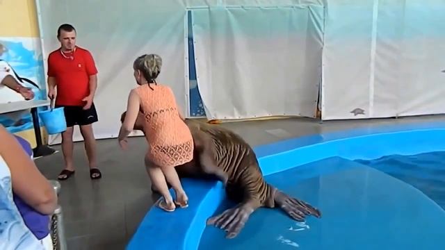 Best Coub # 23 Лучшие приколы Http://whoknows.biz.ua/video/njLtWn2lkbk