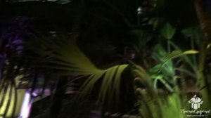 Романтическое свидание в оранжерее! © Простые Радости