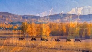 ПРИРОДА КАЗАХСТАНА. NATURE OF KAZAKHSTAN.