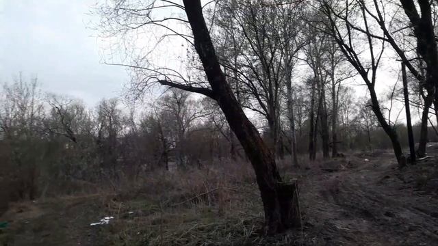 Орехово-Зуево. Разлив Клязьмы . На ул. Карасово. смотреть онлайн