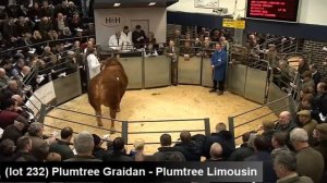 Limousin Carlisle 16th February, 2013 top ten highest prices excluding lot 182 sold for 32,000 Gns