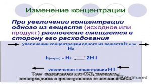 Анализ крови на антитела к фосфолипидам