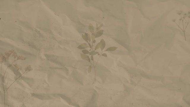 How I scan 35mm film at home (with my digital camera) смотреть онлайн