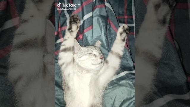 Люся
