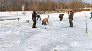 зарыбление 110 кг форели и поимки на запуске