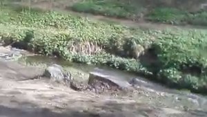 Спуск по масту к месту камней«Девичий камень» и «Гусь камень» в Коломенском