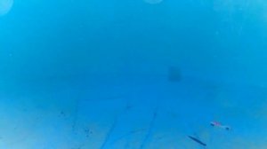 TokioRig поведение приманки под водой