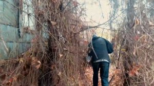 Заброшенные деревни Курской Области