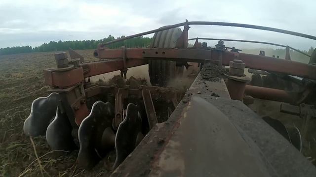посевная 2020 сеем овес дискуем землю