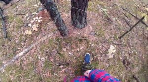 "Летающая" кровать бушкрафтера. АПП-Легенда русского бушкрафта 2 ч.