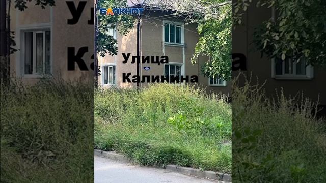 Трава в Таганроге