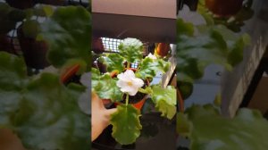 Мое хобби!!!