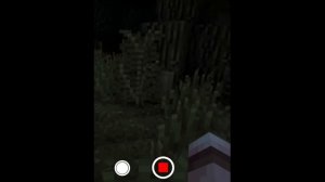 КАКОЙ СТРАШНЫЙ СЕКРЕТ СКРЫВАЕТ ЛЕСНИЧИЙ? | ЕГОР ЛИНЧ ТЕОРИЯ