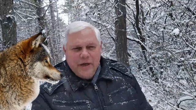 Притча  Какого волка кормить смотреть онлайн