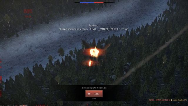 Забавные моменты