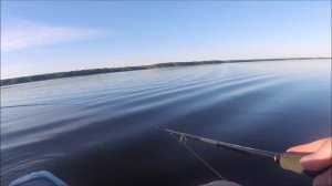 Яузское водохранилище - Первые попытки найти судака