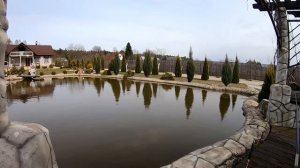 Разведение карпа на своём участке. Ловля карпа в своём пруду. Ловля карпа 2020. Пруд на даче.