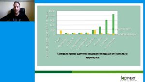 Методы борьбы с трипсом в теплице