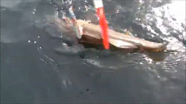 Рыбалка в Норвегии( Sotra ) 07.04.2013 смотреть онлайн