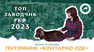 Питомник «КОНТАРИО ОДЕ». Юлия Белякова – победитель конкурса «Топ заводчик РКФ 2023»