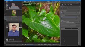 Устранение шумов на фотоснимках в программе Raw Therapee