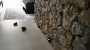 Декоративный светильник подсветки стен AliExpress