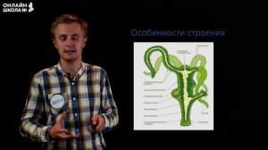 Тип Кишечнополостные. Видеоурок 7. Биология 7 класс