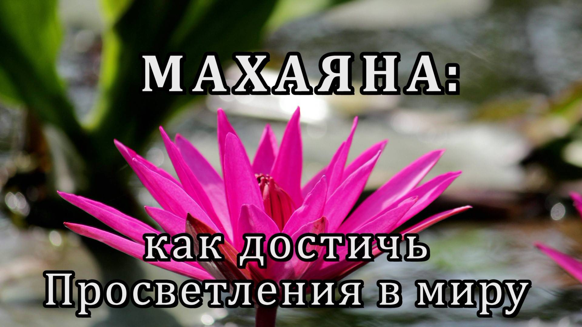 Махаяна: как достичь Просветления в миру