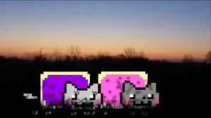 Le Nyan cat est amoureux