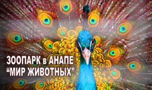Зоопарк в Анапе
