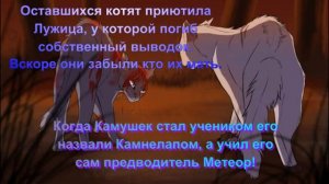 История Камня / Коты - Воители.