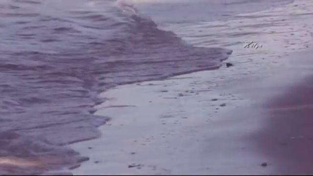 Engelbert Humperdinck - How Do I Stop Loving You смотреть онлайн