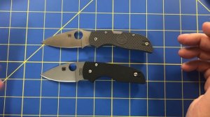 Spyderco Lil Native 3 Month Review (Post Price Increase)